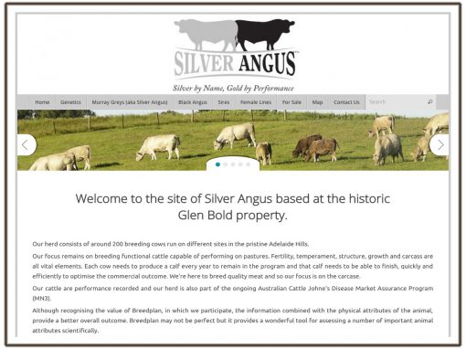 www.silverangus.com.au